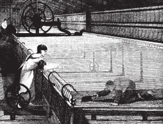 Spinning mule