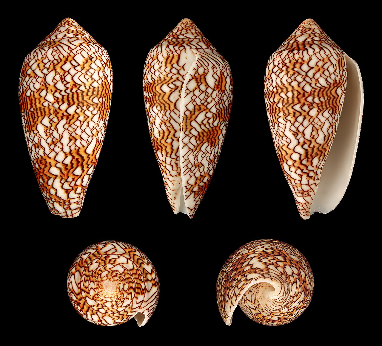 Textile